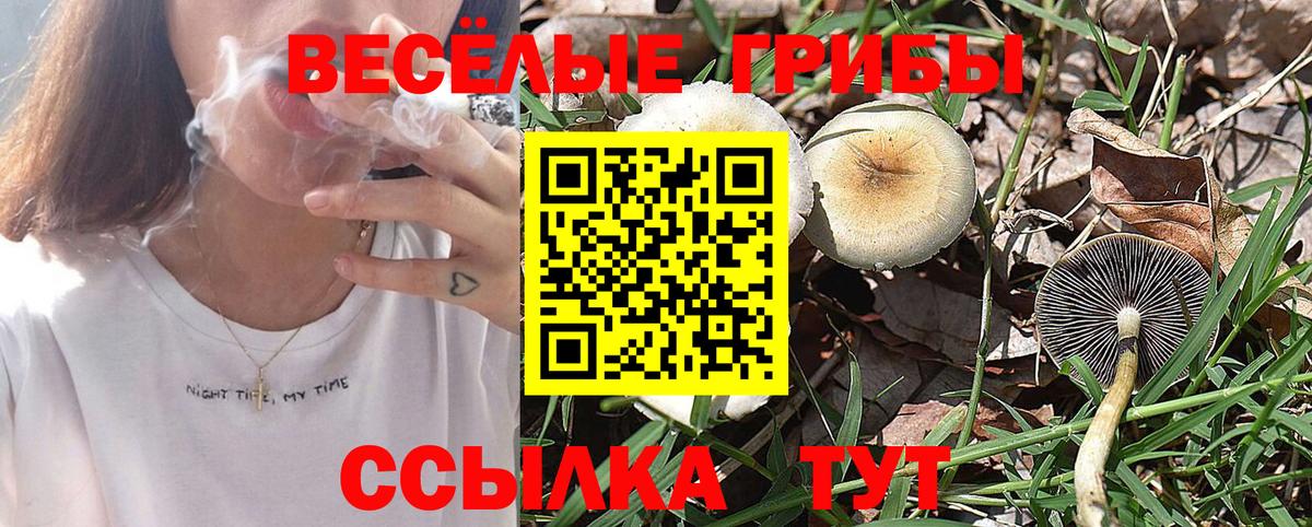 Псилоцибиновые грибы Psilocybine cubensis  Вход с VPN  Фурманов 