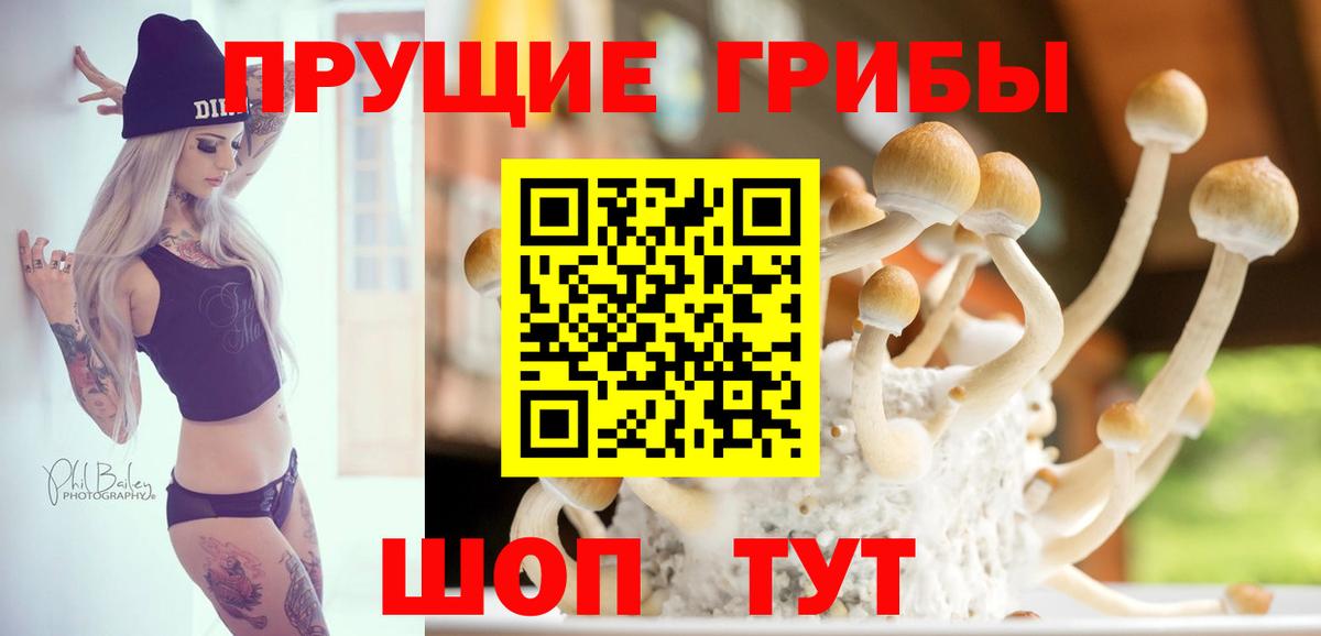 Псилоцибиновые грибы прущие грибы Фурманов